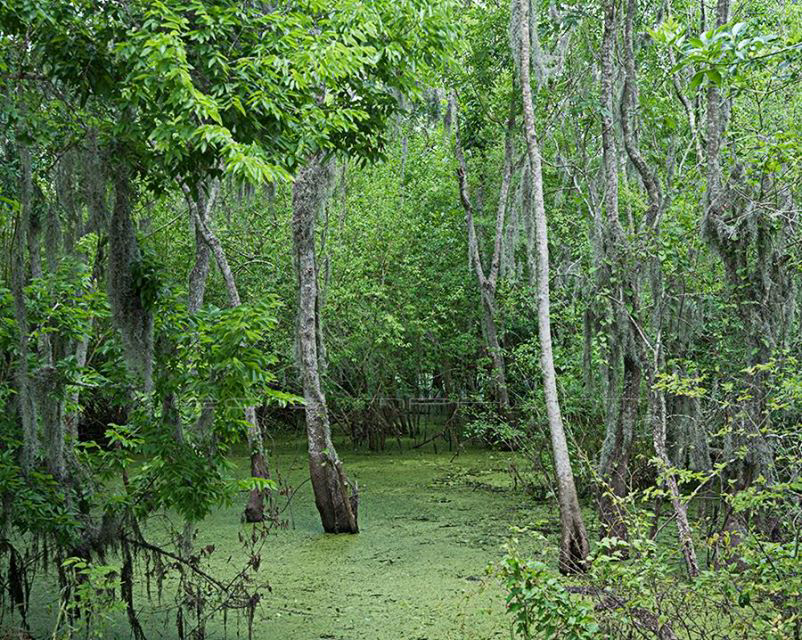 10177853_10153206279096390_1797942353799203808_n