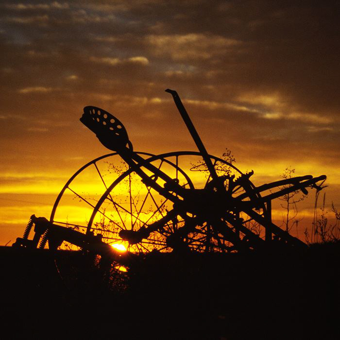 10689746_10152749828566390_4605914993973248048_n