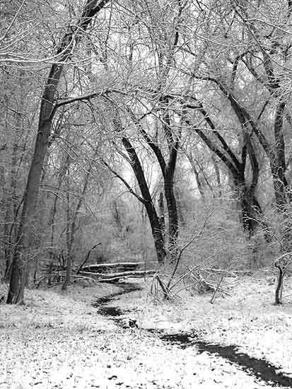 10896980_10152875902271390_7858714885592423794_n