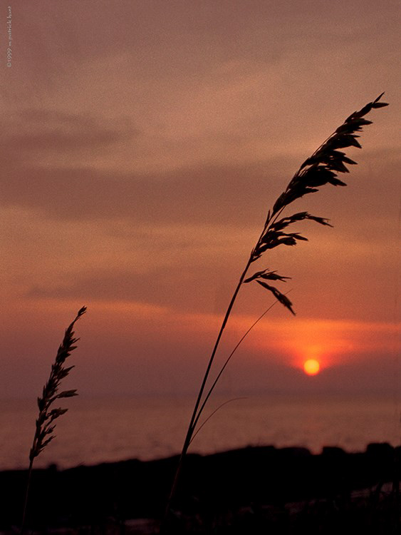 1098379_10151723074326390_1026779129_n