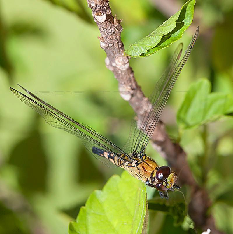 11760233_10153388936541390_4411379549246514221_n