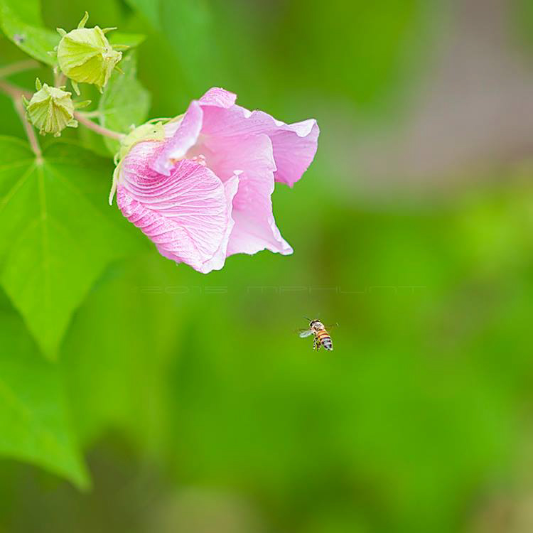 12011199_10153618607186390_7799924497324849508_n