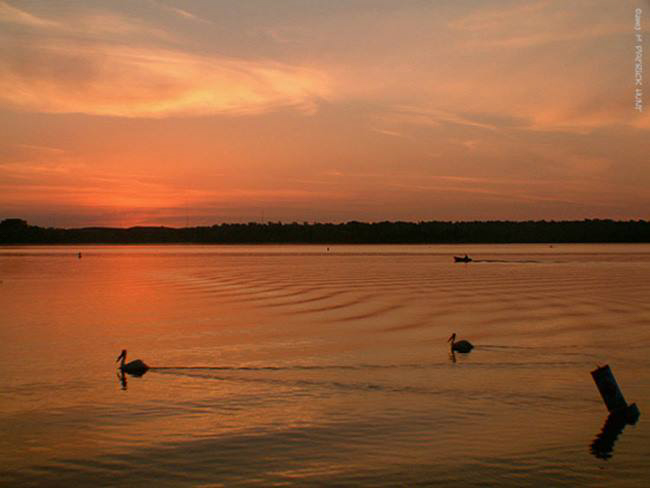 1521951_10152039093116390_238015601_n