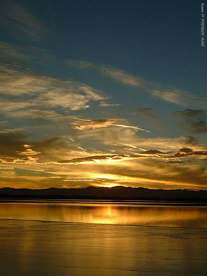 1782129_10152155106136390_828134338_n